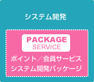 システム開発 ポイント／会員サービス システム開発パッケージ