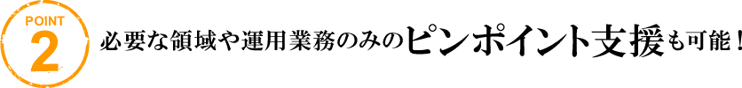必要な領域や運用業務のみのピンポイント支援も可能！